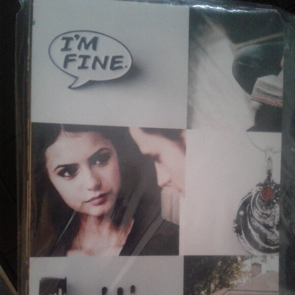 'Vampire Diairies, The' collage of cast photos - Picture 15 of 16